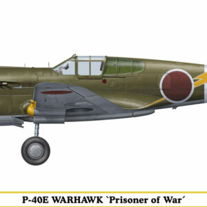 HASEGAWA HASSP304 P - 40e "Prisoner Of War"