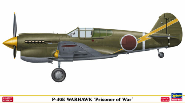 HASEGAWA HASSP304 P - 40e "Prisoner Of War"