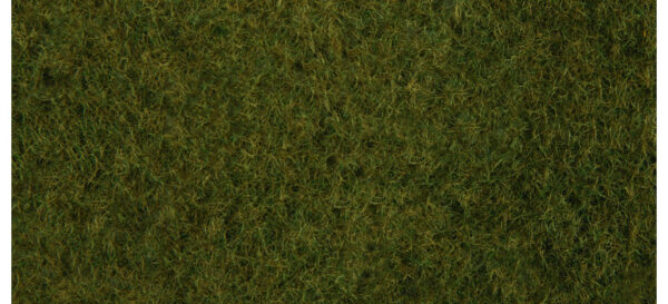 Noch 07282 Fogliame erba selvatica verde oliva